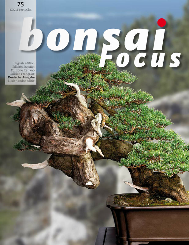 Bonsai-Focus 100 Nov/Dez 2019