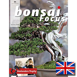 Bonsai-Focus (english)