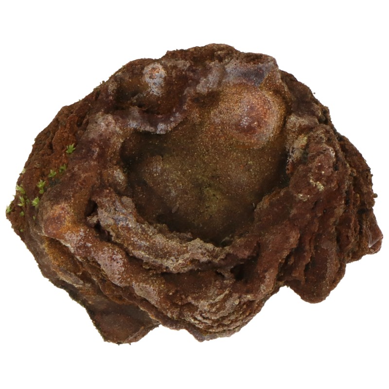 Rock Pot - env. 6 x 5,5 x 3,5 cm