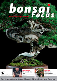 Bonsai-Focus 100 Nov/Dez 2019