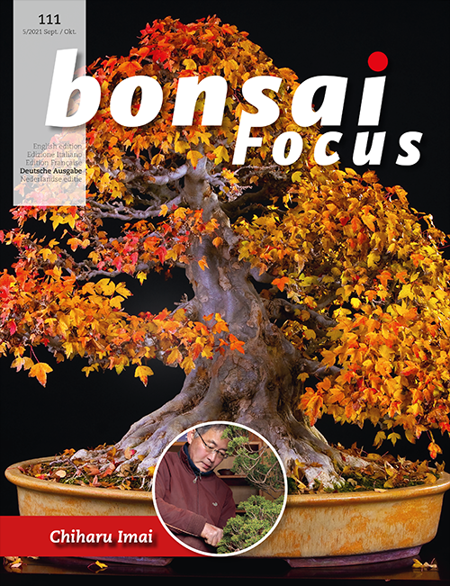 Bonsai-Focus 111 September/Oktober 2021