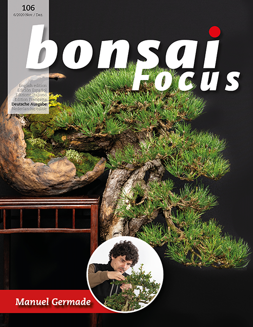 Bonsai-Focus 106 Nov/Dez 2020