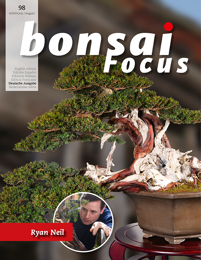 Bonsai-Focus 100 Nov/Dez 2019