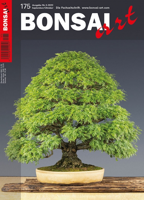 BONSAI ART 175 – September / Oktober 2022