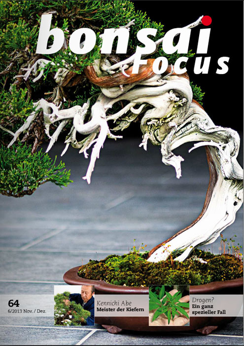 Bonsai-Focus 100 Nov/Dez 2019