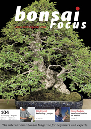 Bonsai-Focus 100 Nov/Dez 2019