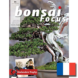 Bonsai-Focus (francais)