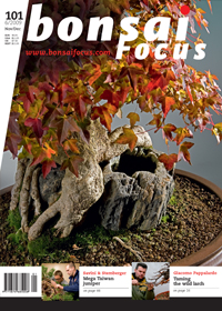 Bonsai-Focus 100 Nov/Dez 2019