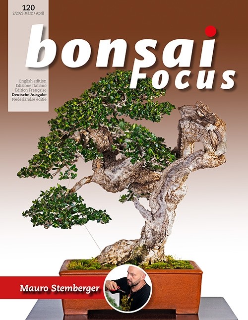 Bonsai-Focus 120 März/April 2023
