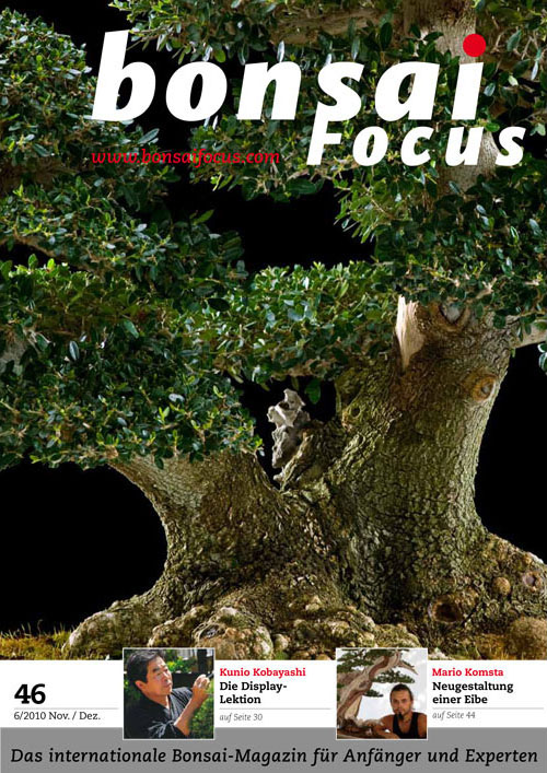 Bonsai-Focus 100 Nov/Dez 2019