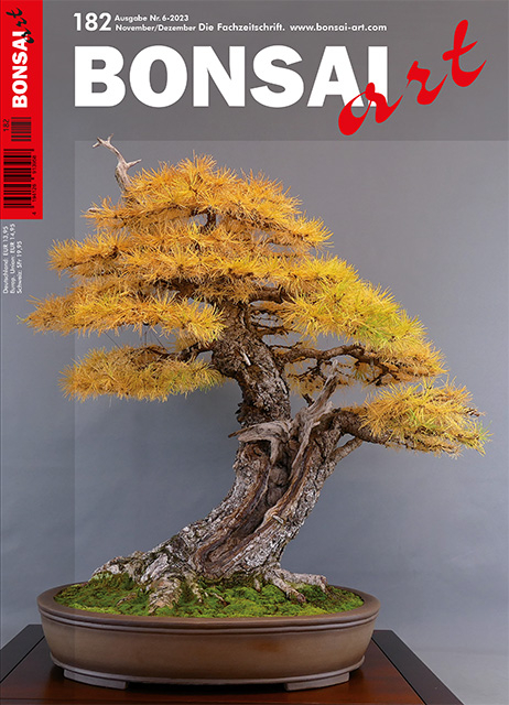 BONSAI ART 182 – November / Dezember 2023