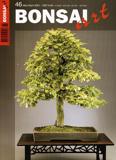 BONSAI ART 46 M