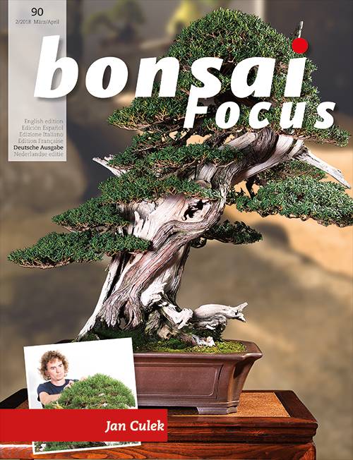 Bonsai-Focus 100 Nov/Dez 2019