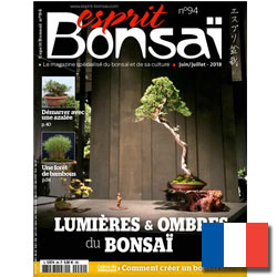 Esprit BonsaÃ¯ (francais)