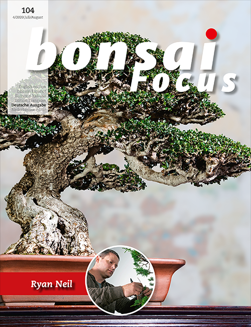 Bonsai-Focus 104 Juli/August 2020