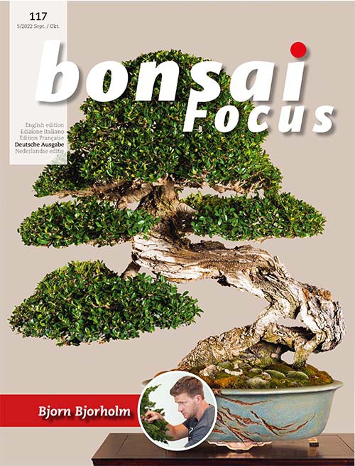 Bonsai-Focus 117 September / Oktober 2022