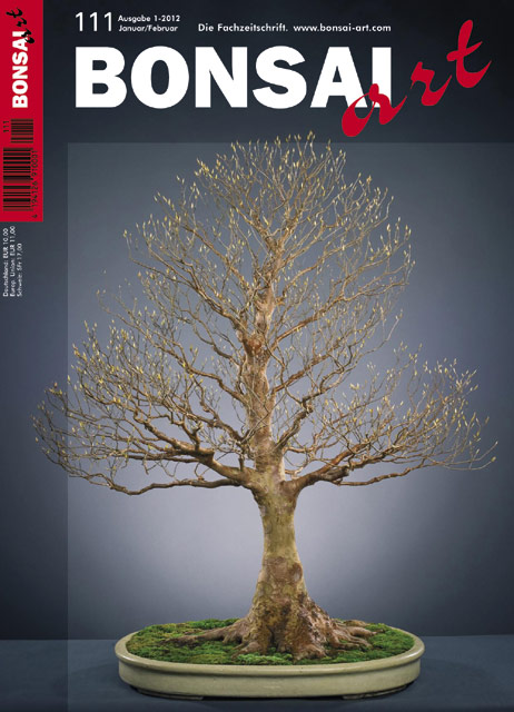 BONSAI ART 111 Januar/Februar 2012