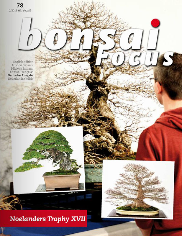 Bonsai-Focus 100 Nov/Dez 2019