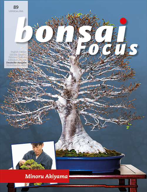 Bonsai-Focus 100 Nov/Dez 2019