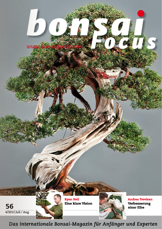 Bonsai-Focus 100 Nov/Dez 2019