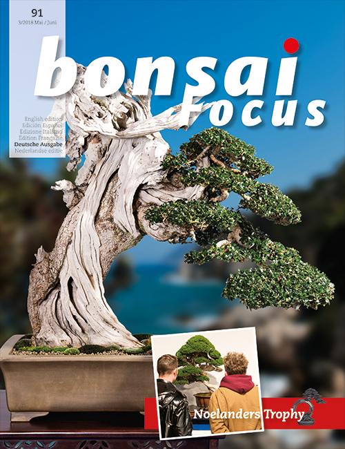 Bonsai-Focus 91 Mai/Juni 2018