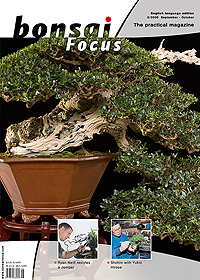 Bonsai-Focus 100 Nov/Dez 2019