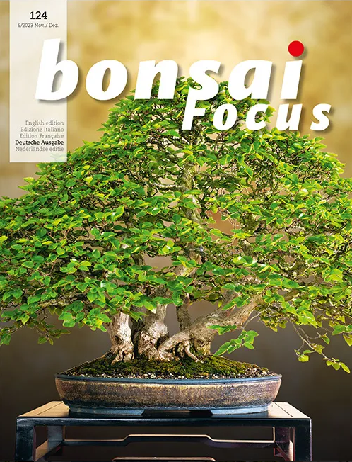 Bonsai-Focus 124 Nov/Dez 2023