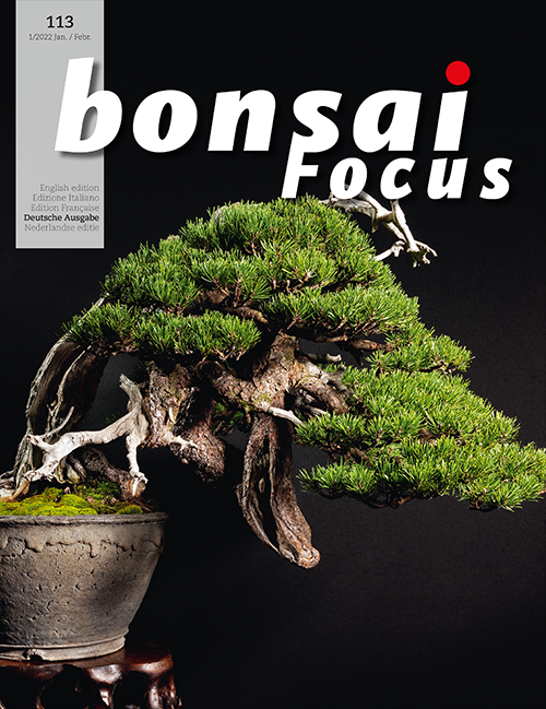 Bonsai-Focus 113 Januar/Februar 2022