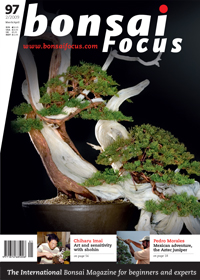 Bonsai-Focus 100 Nov/Dez 2019