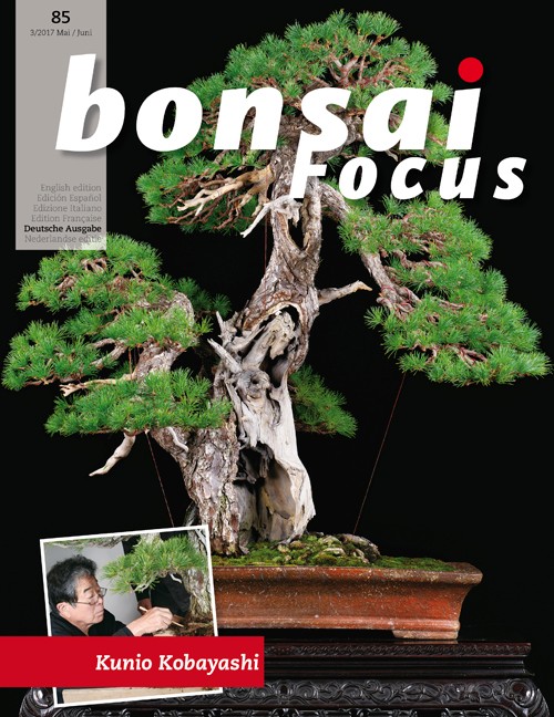 Bonsai-Focus 85 Mai/Juni 2017