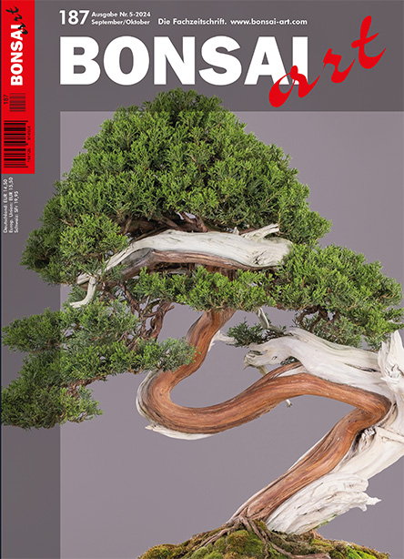 BONSAI ART 187 – September / Oktober 2024