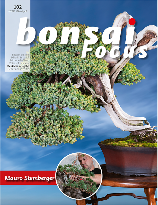 Bonsai-Focus 102 März/April 2020