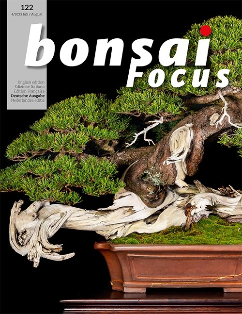 Bonsai-Focus 123 Sept/okt 2023