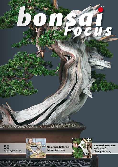 Bonsai-Focus 100 Nov/Dez 2019