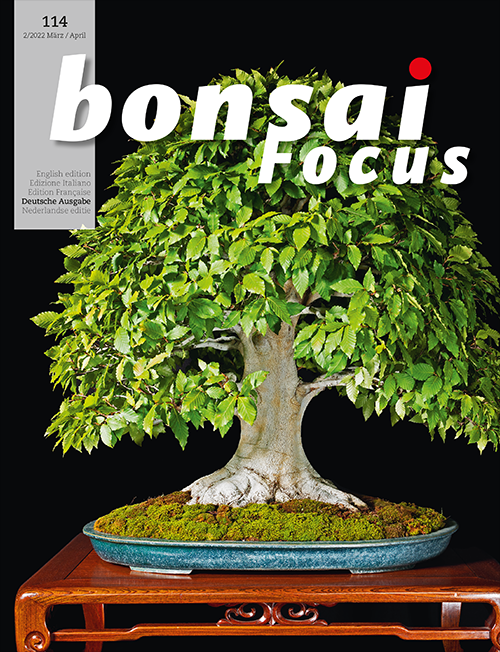 Bonsai-Focus 114 März / April 2022