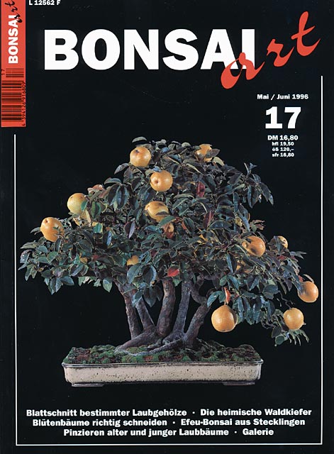 BONSAI ART 17 Mai/Juni 1996
