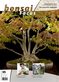 Bonsai-Focus 100 Nov/Dez 2019