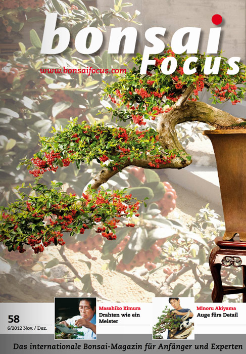 Bonsai-Focus 100 Nov/Dez 2019