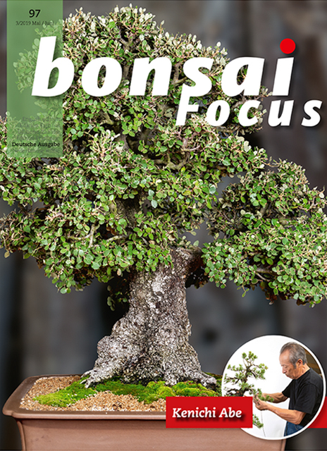 Bonsai-Focus 100 Nov/Dez 2019