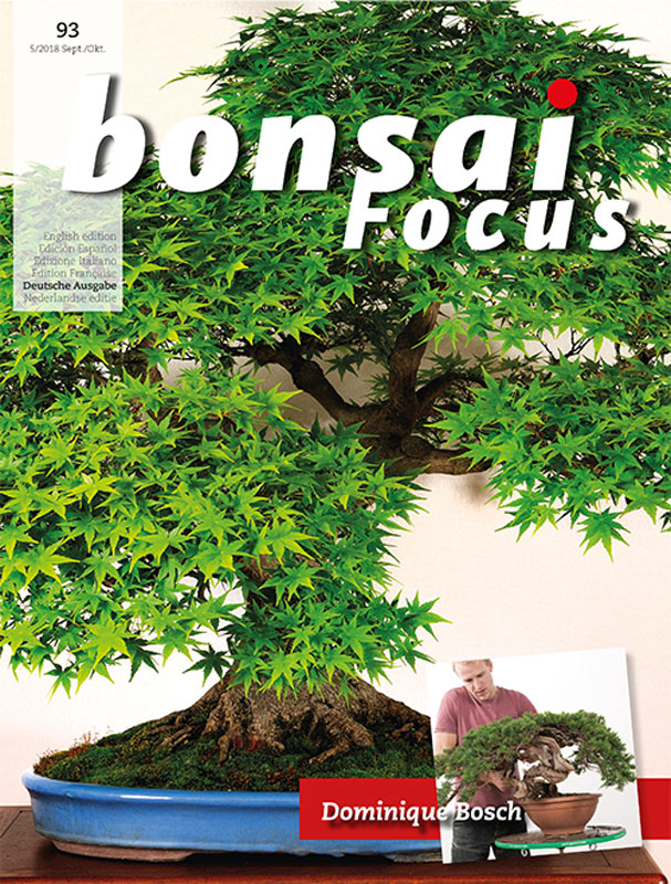 Bonsai-Focus 100 Nov/Dez 2019