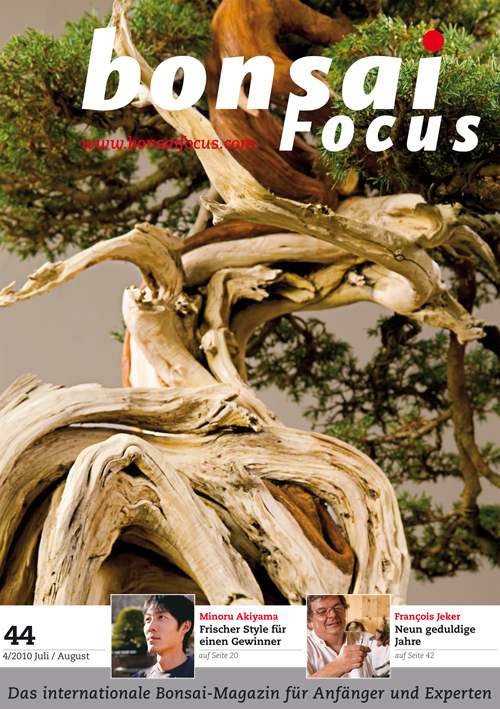 Bonsai-Focus 100 Nov/Dez 2019