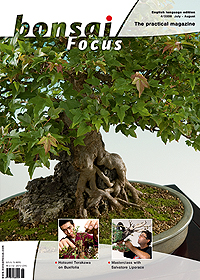 Bonsai-Focus 100 Nov/Dez 2019