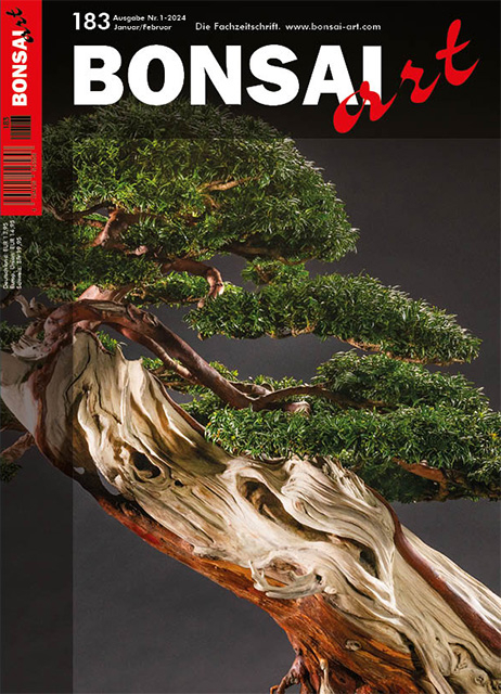 BONSAI ART 183 – Januar / Februar 2024