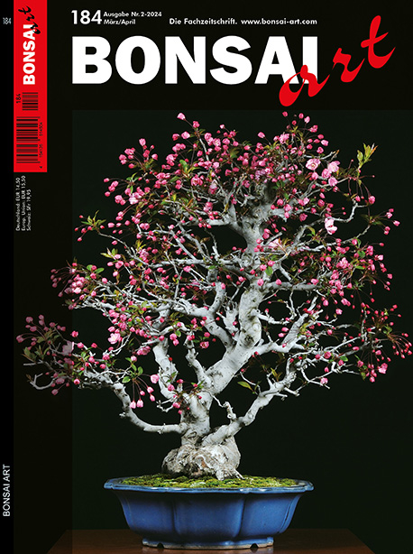 BONSAI ART 184 – März / April 2024