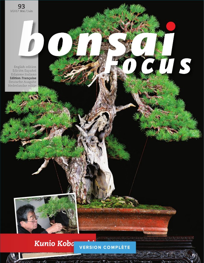 Bonsai-Focus 93 Mai/Juin  2017