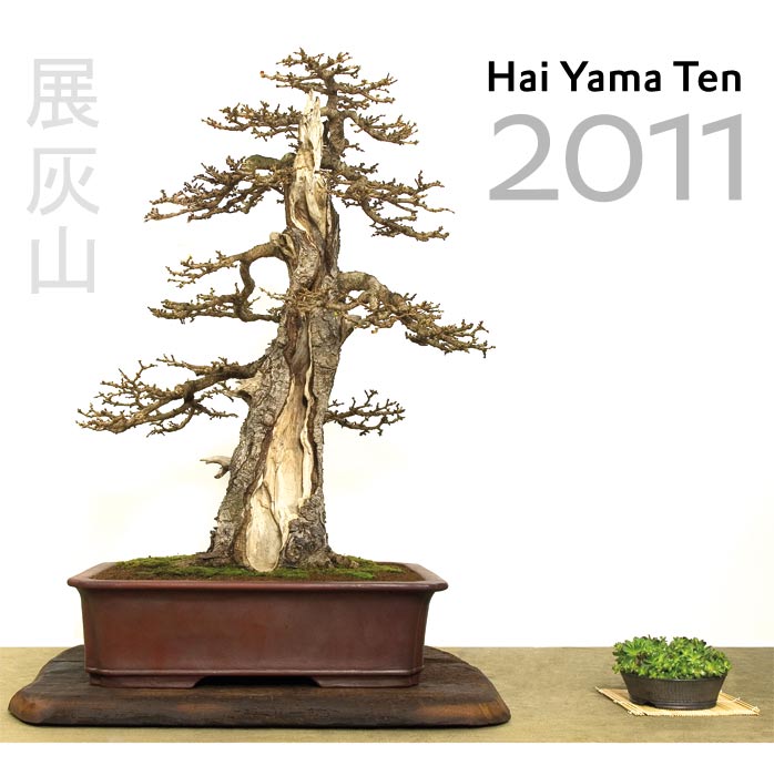 Das offizielle Buch zur Hai Yama Ten 2011: Alle Bäume der Ausstellung werden hier ebenso dokumentiert wie die Sonderausstellung "Nackenkissen".


94 S., farbig, 21 x 21 cm, Hardcover. 