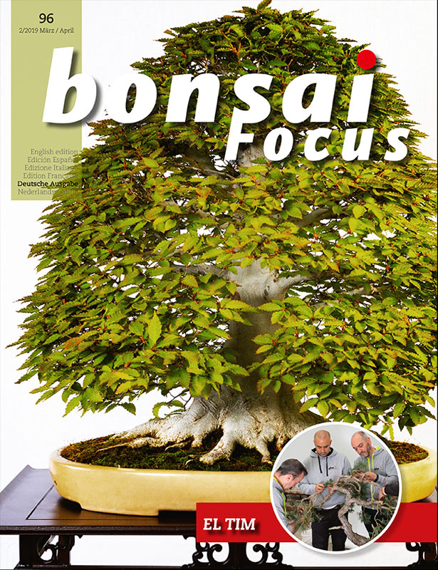 Bonsai-Focus 96 März/April 2019
