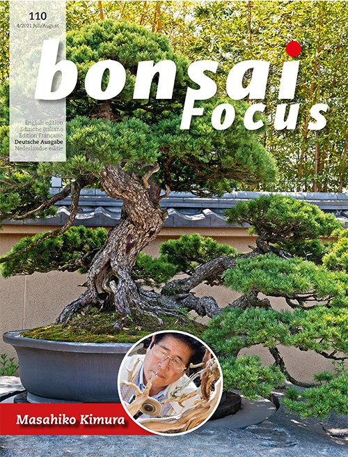 Bonsai-Focus 110 Juli/August 2021