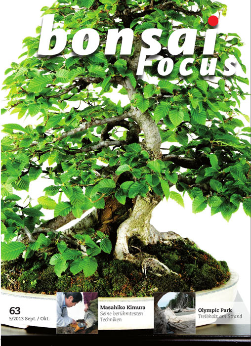 Bonsai-Focus 100 Nov/Dez 2019