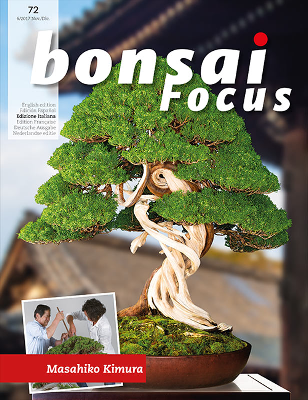 Bonsai-Focus 72 Nov./Dic. 2017
